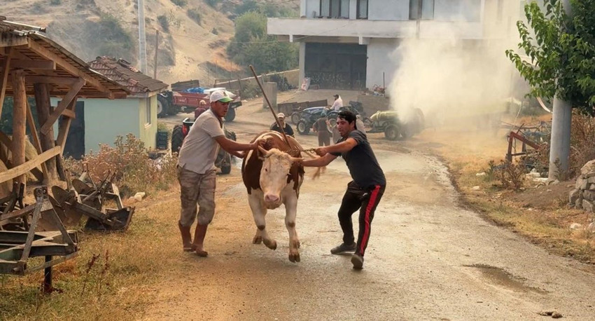 Sakarya'da orman yangını yerleşim yerlerine sıçradı; 3 ev yanarak kül oldu - Resim: 1