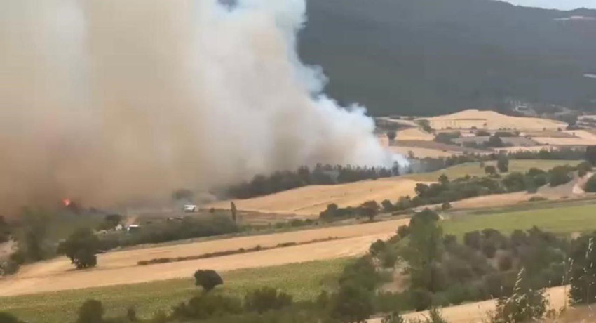 Bursa'da bir orman yangını daha - Resim: 1
