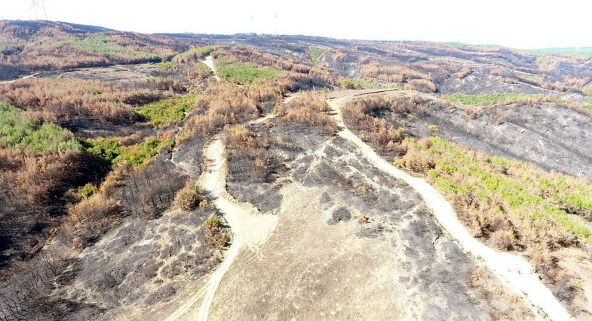 Tekirdağ'ın cehenneme dönen cennetin son hali görüntülendi - Resim: 4