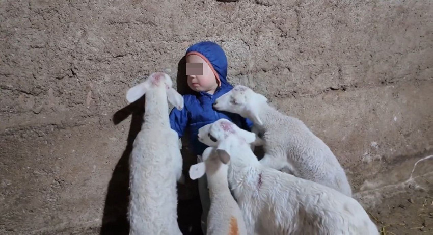 O Türkiye'nin en küçük çobanı: Sadece 3 yaşında... - Resim: 2