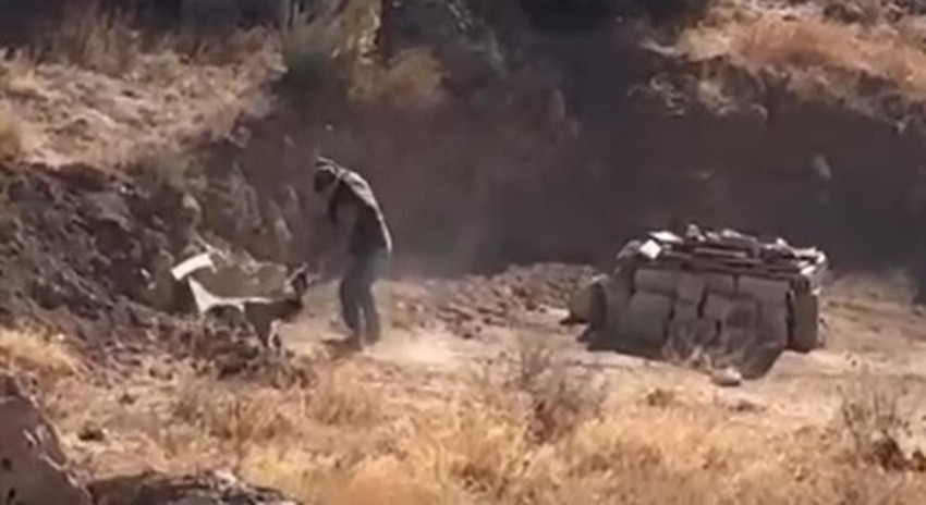 Yavru köpeğe sopalı işkence kamerada - Resim: 1