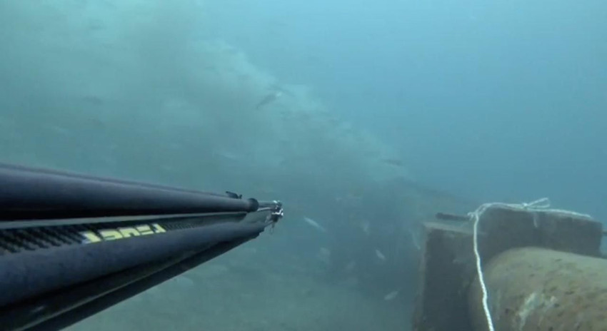 Çanakkale Boğazı'na dökülen pis su dalgıç kamerasında - Resim: 3