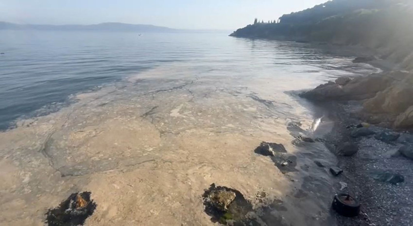 Mide bulandıran iğrençlik Marmara Denizi kıyılarına geri döndü - Resim: 1
