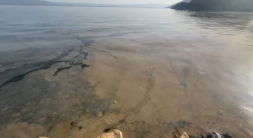 Mide bulandıran iğrençlik Marmara Denizi kıyılarına geri döndü - Resim: 3