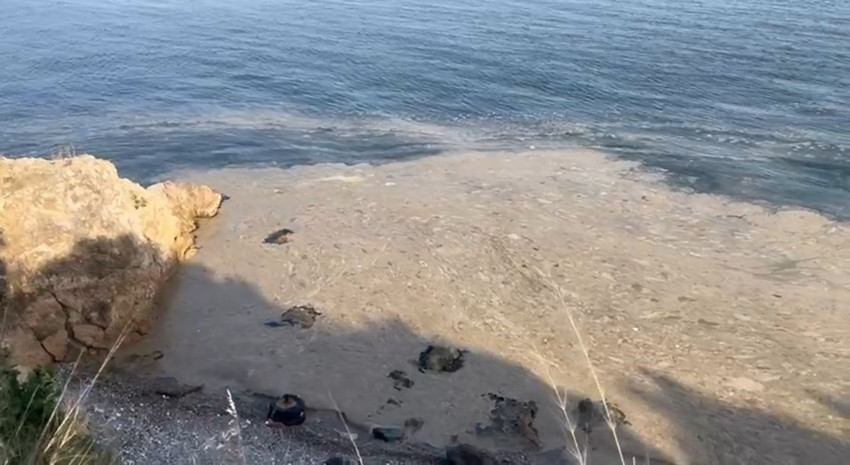 Mide bulandıran iğrençlik Marmara Denizi kıyılarına geri döndü - Resim: 4