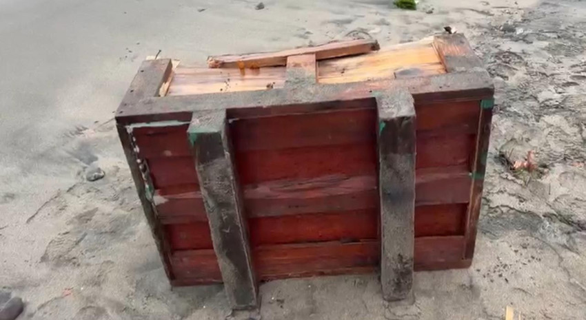 Samsun sahiline vuran sandık ekipleri alarma geçirdi - Resim: 3