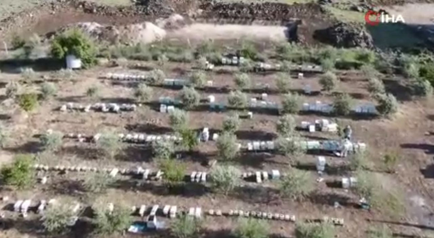 Doktorun annesine ''bal tüket'' tavsiyesiyle hem kendi işinin patronu hem de bal kralı oldu - Resim: 4