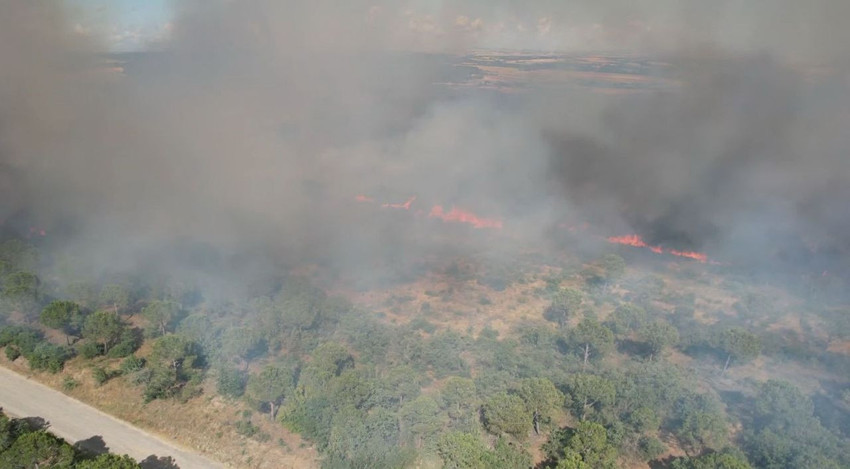 İstanbul'da orman yangını; yangının nedeni kahretti - Resim: 4