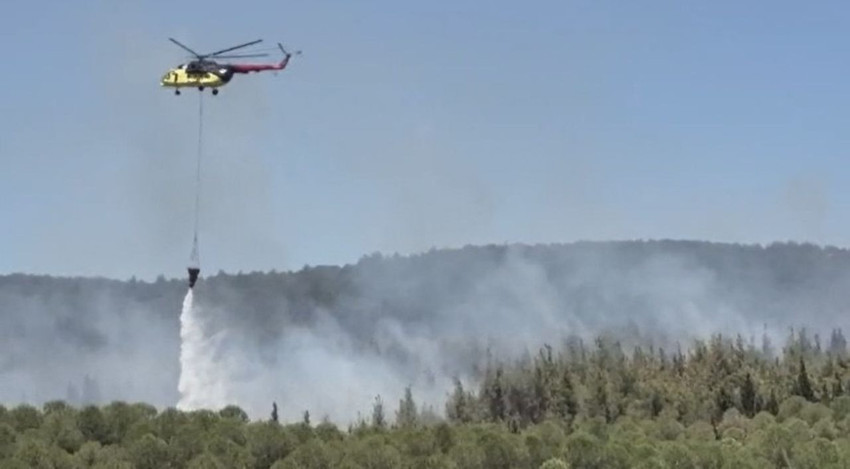 Bir orman yangını da Çanakkale'de çıktı! Lapseki'den dumanlar yükseliyor - Resim: 1