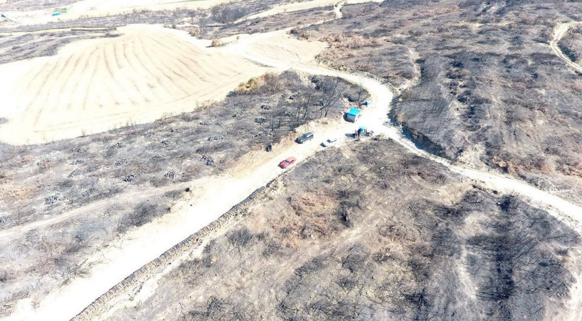 Tekirdağ'ın cehenneme dönen cennetin son hali görüntülendi - Resim: 2