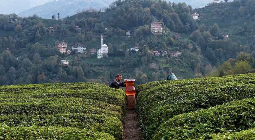 Rize'de çay tarlasındaki çılgın çekim, yapay zekayı bile kıskandırdı - Resim: 1