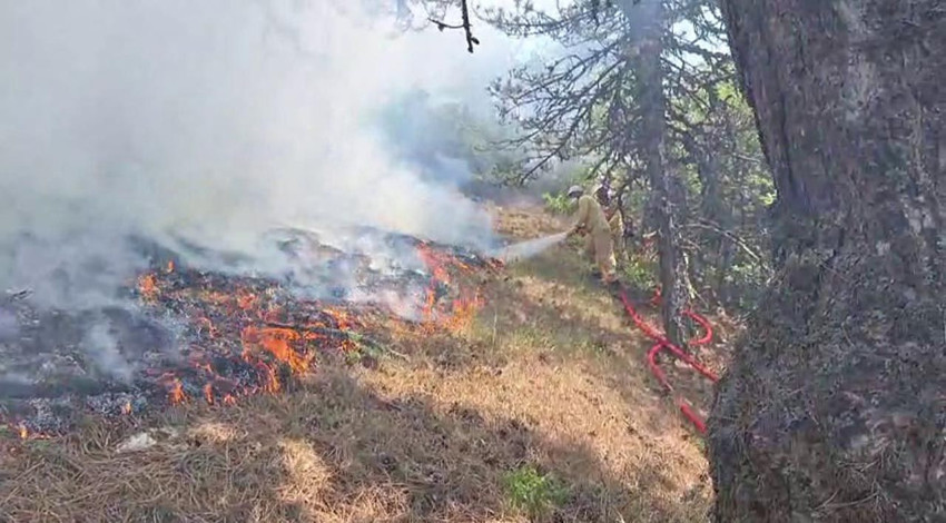Bolu'da yerleşim yerine yakın bölgede orman yangını - Resim: 3