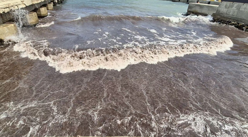 Marmara Denizi'nde sahil şeridinde denizin rengi maviden kırmızıya döndü - Resim: 1