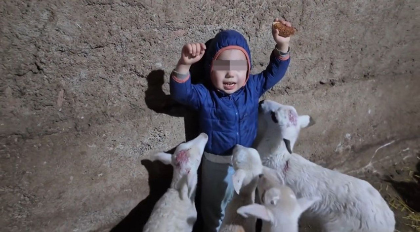 O Türkiye'nin en küçük çobanı: Sadece 3 yaşında... - Resim: 3