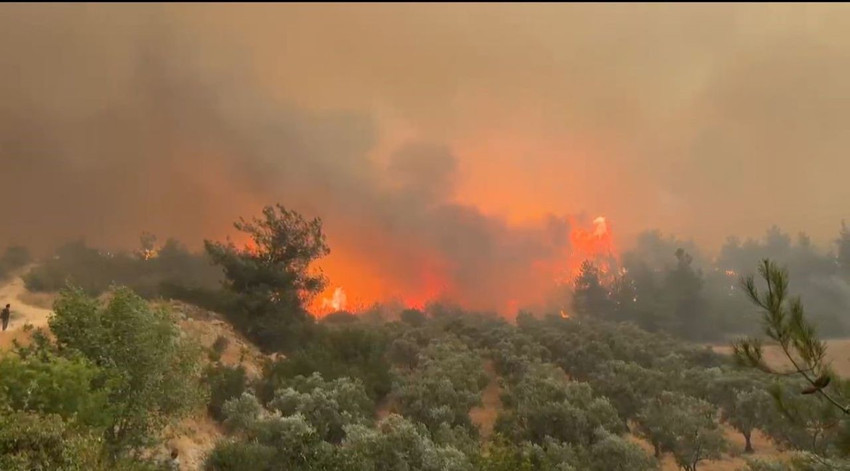 Orman yangınlarıyla mücadelede alevlerin üzerine cepheye gider gibi gittiler - Resim: 3