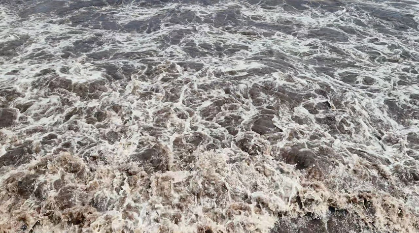 Marmara Denizi'nde sahil şeridinde denizin rengi maviden kırmızıya döndü - Resim: 3