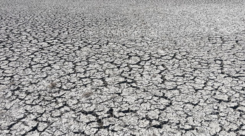 Türkiye'nin 4'üncü büyük gölüydü... Dev göl 2 farklı gölet oldu - Resim: 3