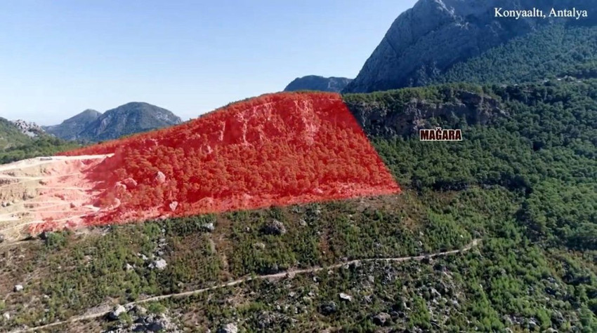 Antalya'daki işletme başvurusu sonuçlanmadan yemyeşil ormanı talan etti - Resim: 1