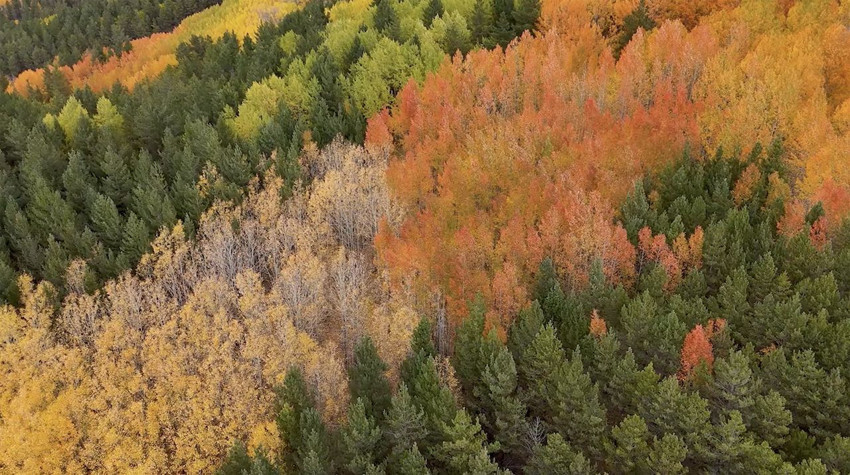 Türkiye'nin sonbahardaki cennetinden büyüleyen manzara... - Resim: 3
