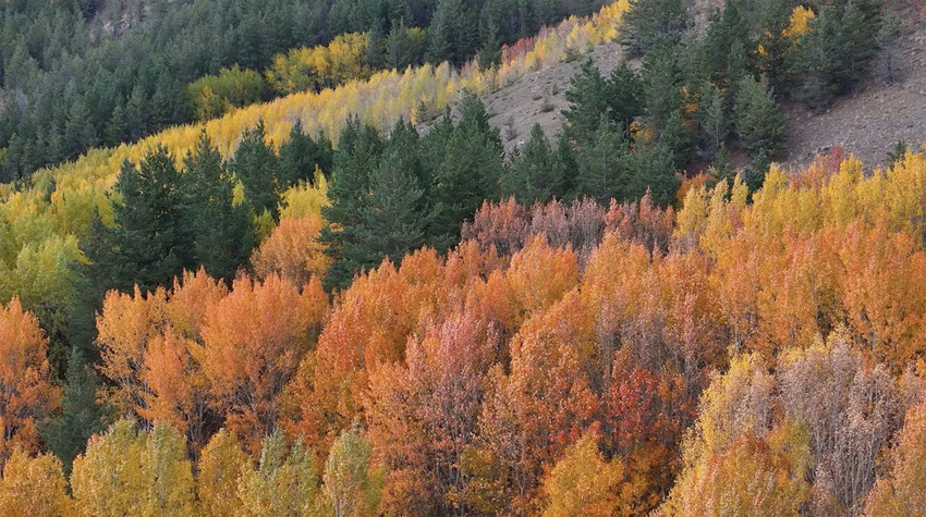 Türkiye'nin sonbahardaki cennetinden büyüleyen manzara... - Resim: 4
