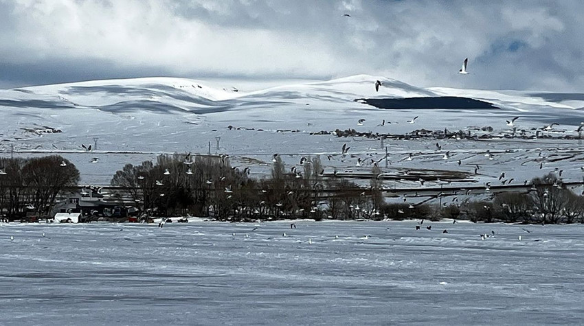 Türkiye'nin buz tutan eşsiz güzelliğinden ilginç görüntü: Gölün sahipleri döndü ama su yok, buz var! - Resim: 2