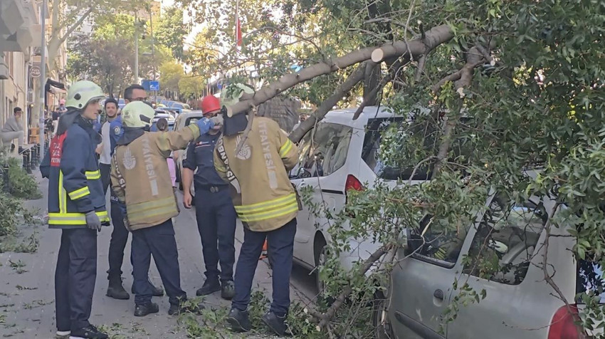 İstanbul'da otomobillerin üzerine ağaç devrildi - Resim: 2