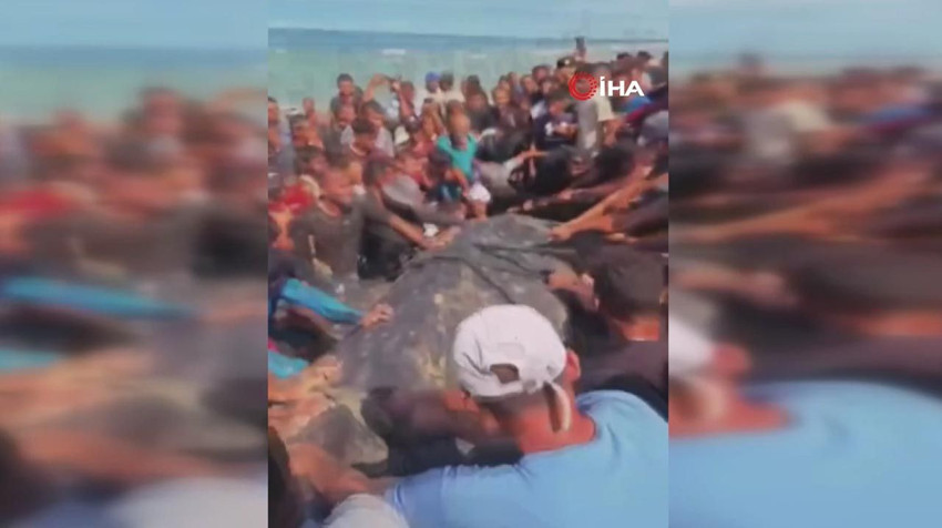 Gazze'de kıyıya vuran 2 tonluk dev şaşkına çevirdi - Resim: 1
