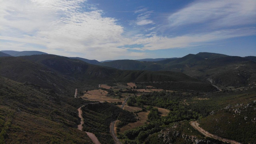 Küle dönen ormanlar küllerinden doğdu! - Resim: 2