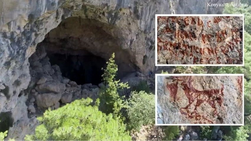 Antalya'daki işletme başvurusu sonuçlanmadan yemyeşil ormanı talan etti - Resim: 2