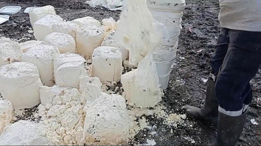 Tam 7 ton ''tarihi geçmiş'' peynir ele geçirildi... - Resim: 3