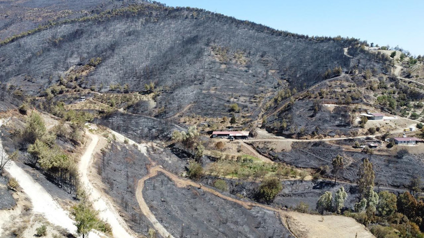 Hatay'ın ciğerleri yandı bitti kül oldu! Yanan alanlar havadan görüntülendi - Resim: 3