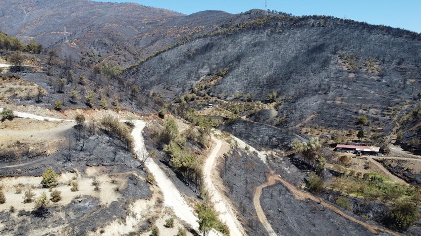 Hatay'ın ciğerleri yandı bitti kül oldu! Yanan alanlar havadan görüntülendi - Resim: 1