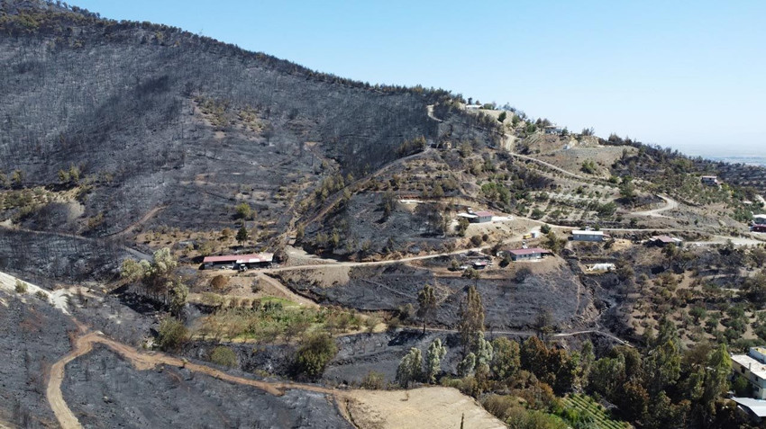 Hatay'ın ciğerleri yandı bitti kül oldu! Yanan alanlar havadan görüntülendi - Resim: 4