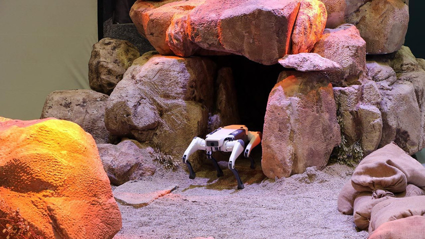 IDEF'in ilgi odağı robot köpekler oldu: Yaptıklarına kimse inanamadı - Resim: 2