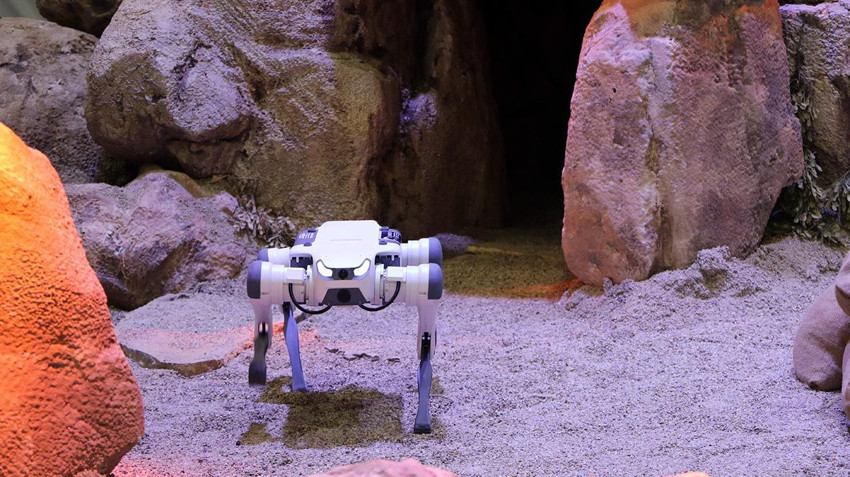 IDEF'in ilgi odağı robot köpekler oldu: Yaptıklarına kimse inanamadı - Resim: 3