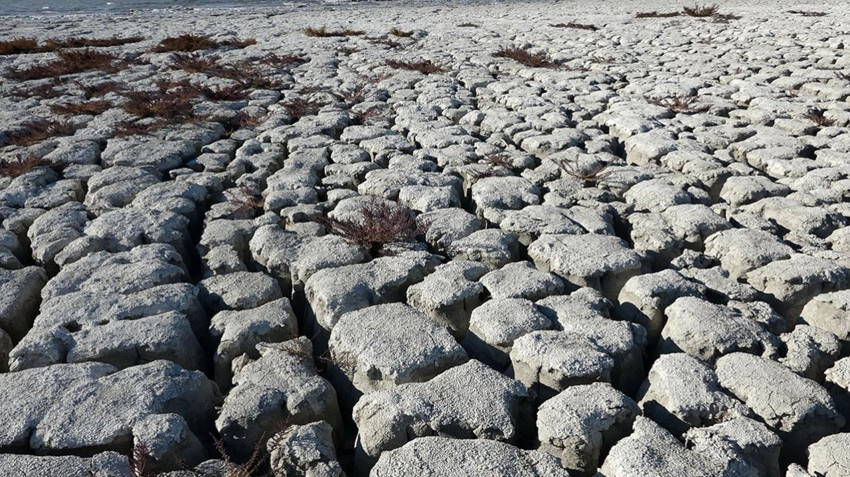 Uzmanların ''deprem kadar yıkıcı olacak'' dediği kabusta İstanbul için tarih verildi! - Resim: 2