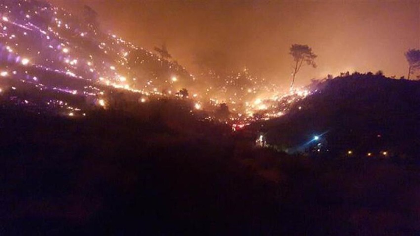 Muğla yine alevlere teslim oldu! Korkunç görüntüler - Resim: 1