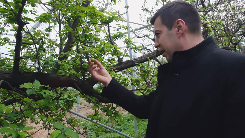 Kış mevsiminin yeşil altını tezgaha indi: Kilosu 8 bin lira - Resim: 1