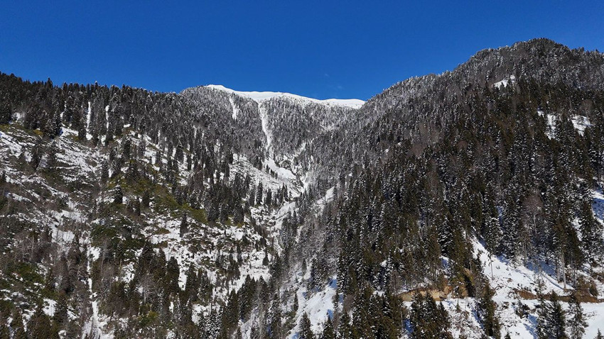 Masallar diyarı gibi görüntü: Karadeniz'in yemyeşil cenneti kar gelinliğini giydi - Resim: 4