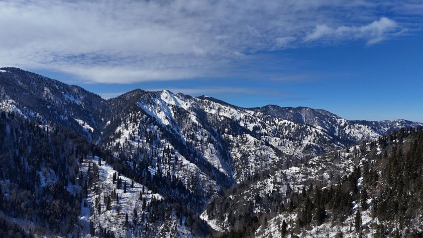 Masallar diyarı gibi görüntü: Karadeniz'in yemyeşil cenneti kar gelinliğini giydi - Resim: 2