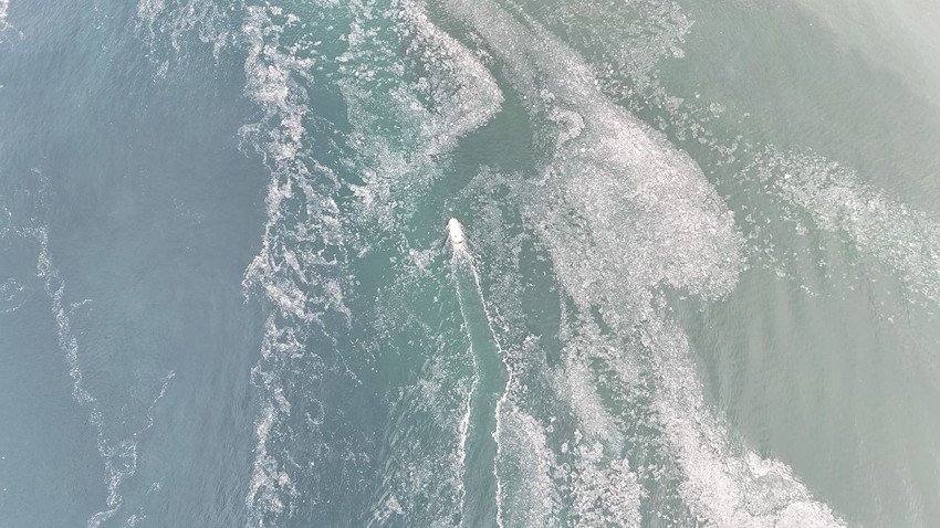 Mide bulandıran kabus geri döndü: Balıkçılar artık denize bile açılamıyor - Resim: 3