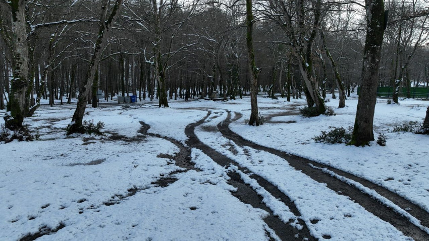 İstanbul'un son yeşil cenneti Belgrad Ormanı kar gelinliğini giydi - Resim: 2