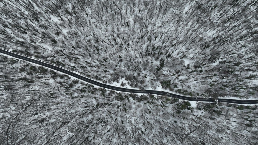 İstanbul'un son yeşil cenneti Belgrad Ormanı kar gelinliğini giydi - Resim: 3