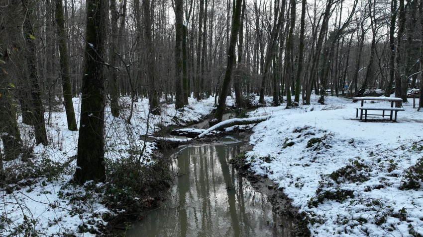 İstanbul'un son yeşil cenneti Belgrad Ormanı kar gelinliğini giydi - Resim: 4