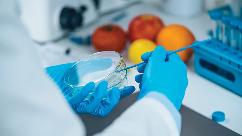 Yapay et, süt ve şeker market raflarına geliyor - Resim: 1