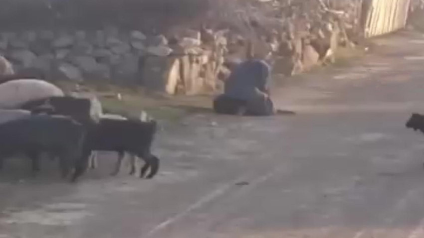 Sosyal medyayı ayağa kaldıran görüntü; gözaltına alındı... - Resim: 1