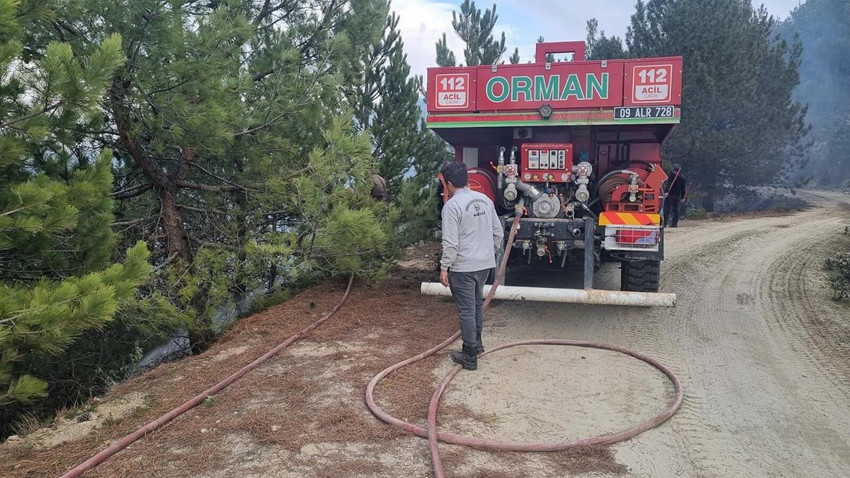 Aydın'da ormanlık alanda korkutan yangın - Resim: 2