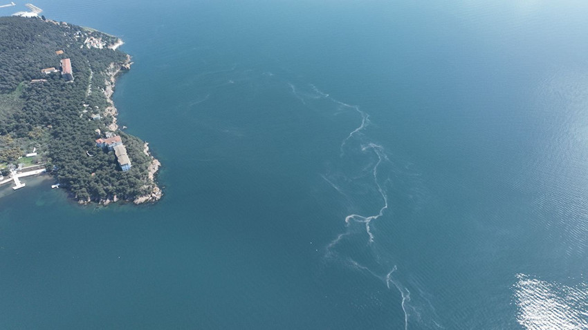 İstanbul'un mide bulandıran kabusu geri döndü - Resim: 1