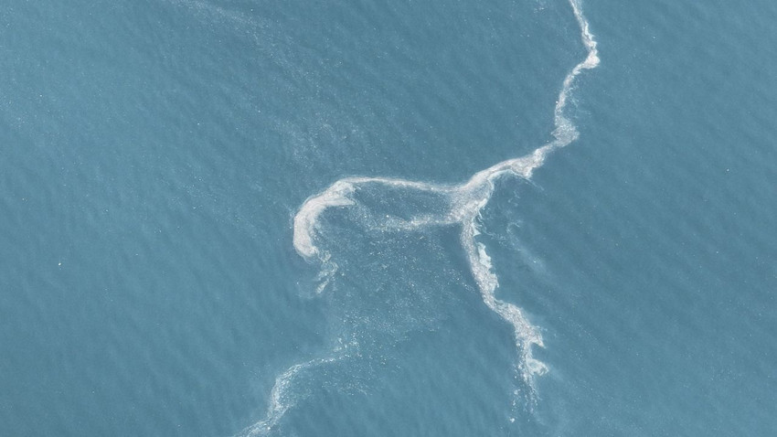 İstanbul'un mide bulandıran kabusu geri döndü - Resim: 2