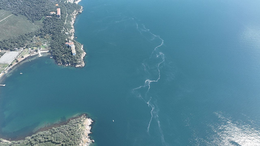 İstanbul'un mide bulandıran kabusu geri döndü - Resim: 3